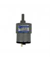 MOTOR 12V 200RPM