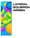VINILO COMPLETO TURNING WIN
